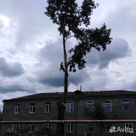 Удаление деревьев