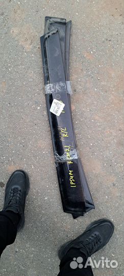 Ветровики ipsum estima