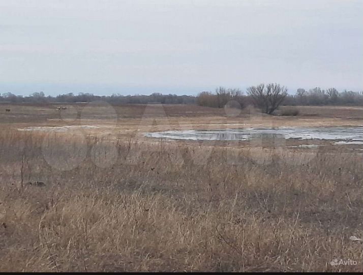 Участок 35 га (СНТ, ДНП)