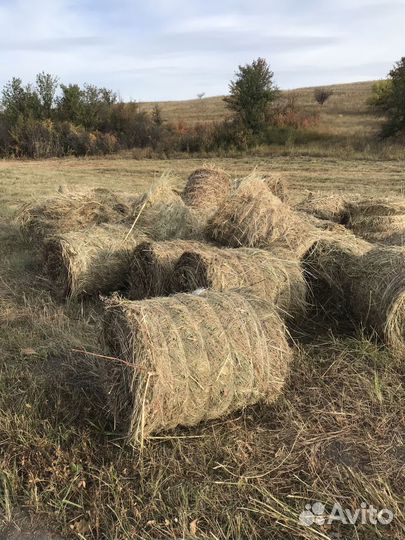 Сено в мини-рулонах