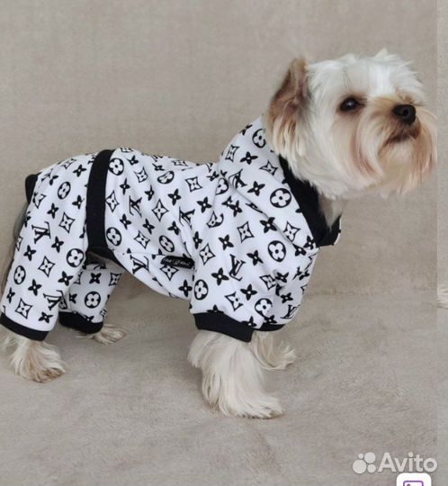 Вещи бу для собак мелких пород