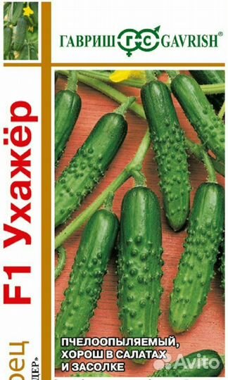 Рассада огурцов