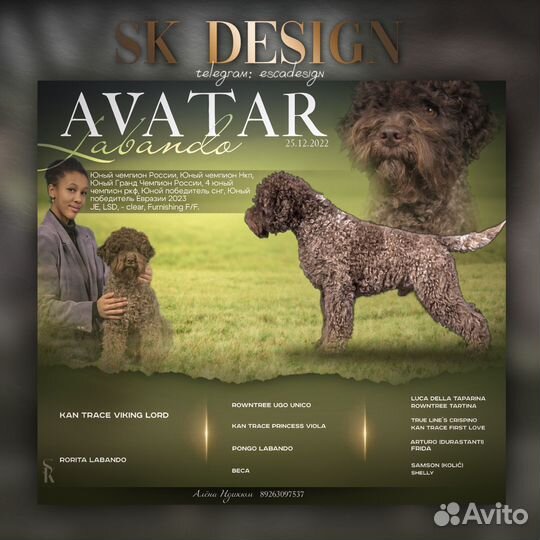 Презентации собак на заказ