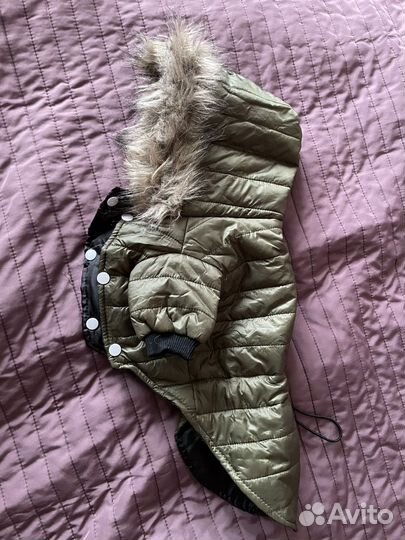 Комбинезон для собак