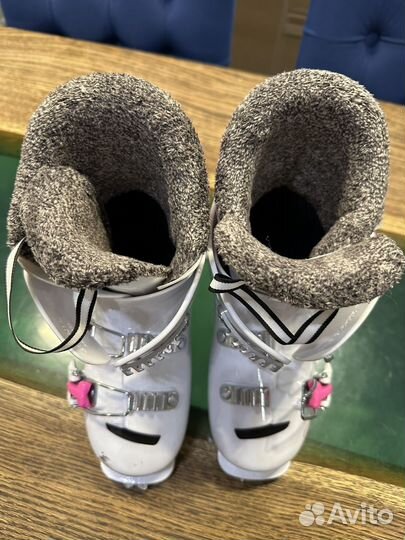 Горнолыжные ботинки детские,245 мм, 205