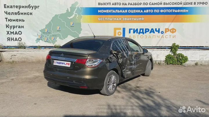 Уплотнитель стекла двери задней левой Citroen C4 I