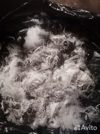 Пух перо гусиное