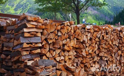 Дрова березовые колотые