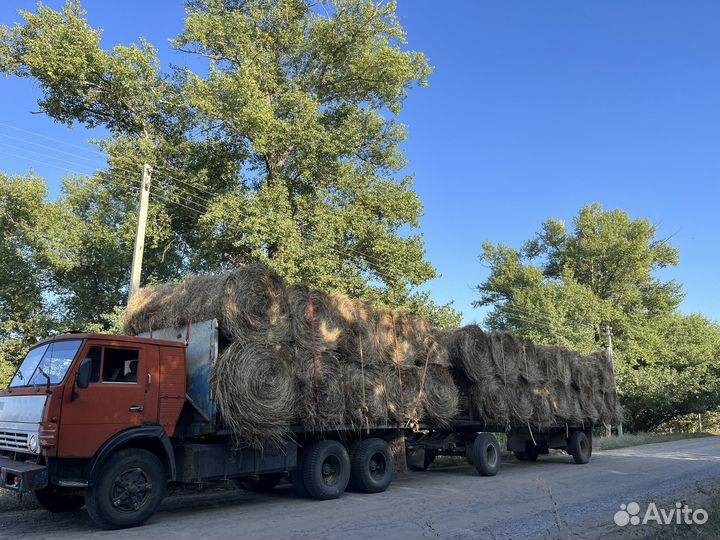 Сено луговое