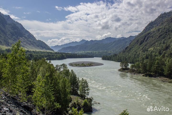 Тур на Алтай