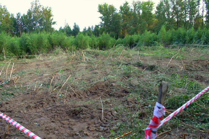 Участок 12 сот. (СНТ, ДНП)