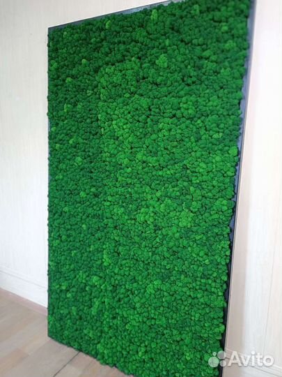 Панели из мха по вашим размерам от производителя