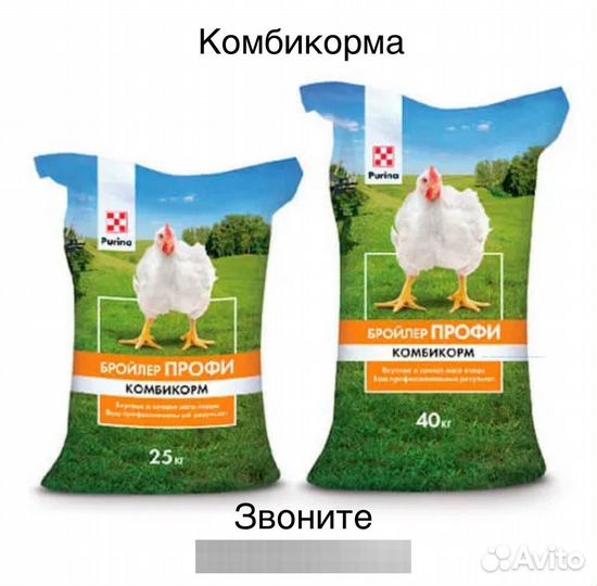 Комбикорм Пурина
