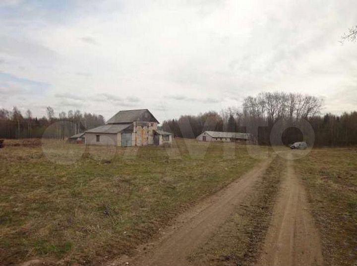 Участок 30 га (СНТ, ДНП)