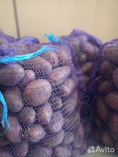 Продам картофель