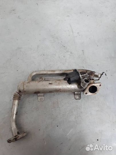 Радиатор EGR Skoda Roomster 2008 03G131512