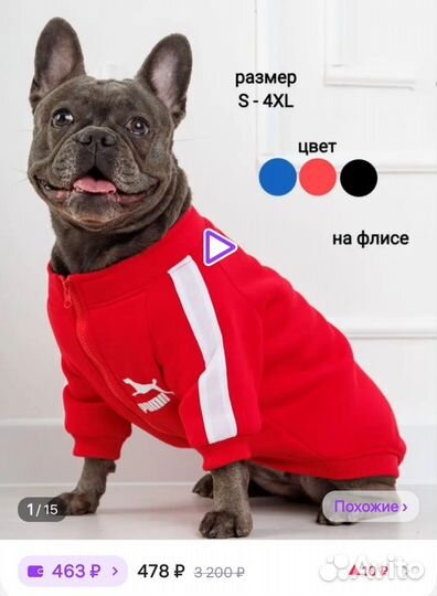 Одежда для собак