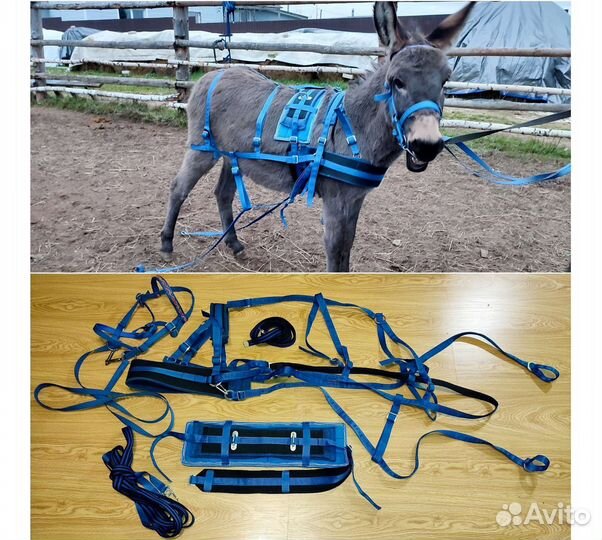 Упряжь, уздечки для пони, ослика