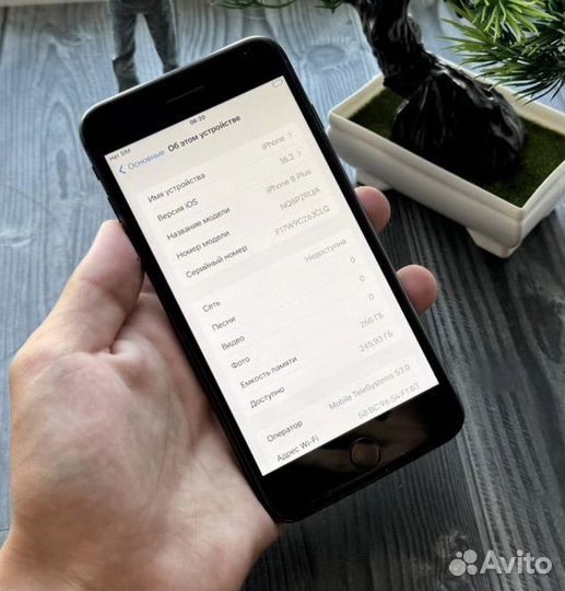 iPhone 8 Plus, 256 ГБ
