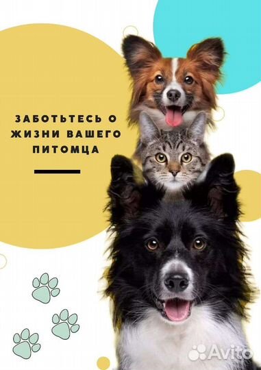 Ветеринарный врач на дом