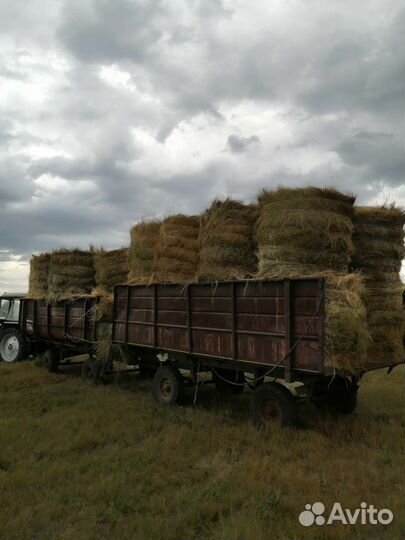 Продам сено в рулонах
