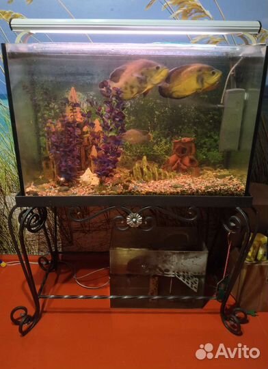 Аквариум