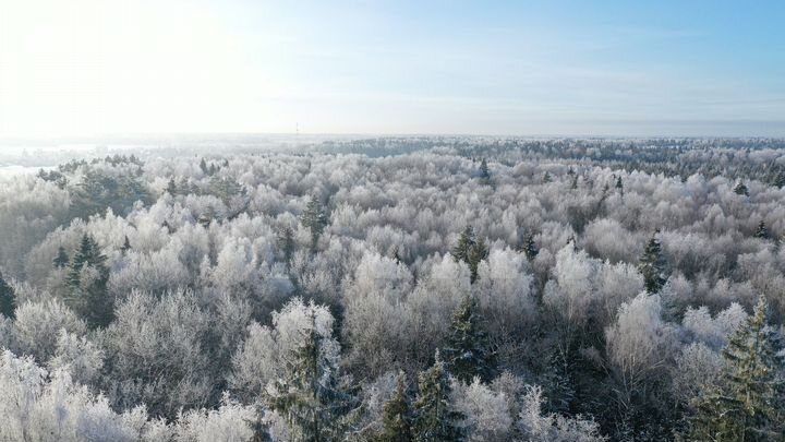 Участок 15,2 сот. (ИЖС)