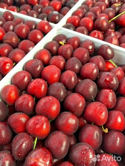 Черешня (свежая)