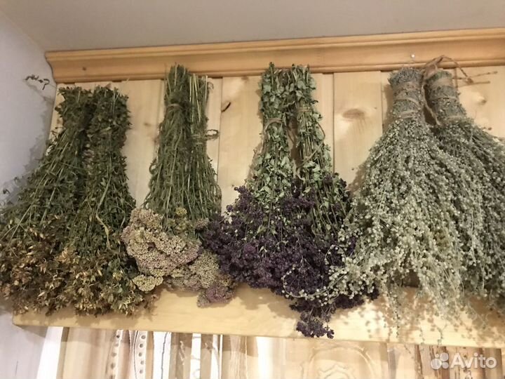 Веники для бани