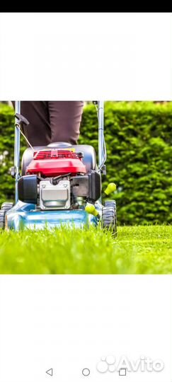 Покос травы газонокосилкой и триммером