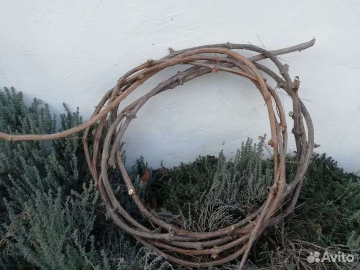 Виноградная лоза, коряги, дрифтвуд