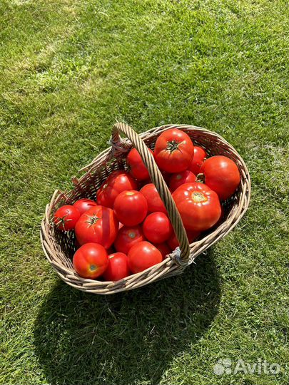 Помидоры свежие домашние 180 за 1кг