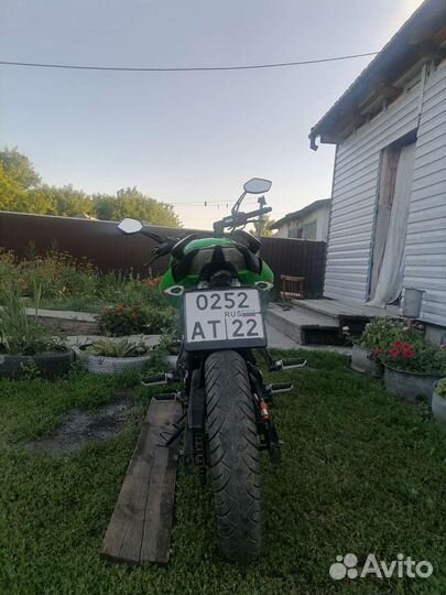 Racer Flesh 250