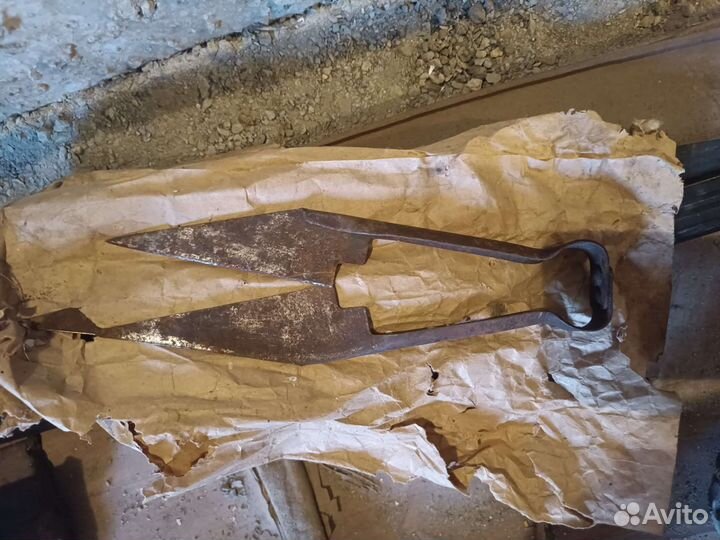 Ножницы для стрижки овец