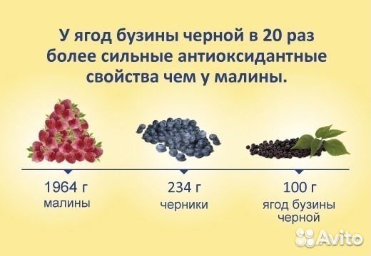 Сироп бузины черной - для молодости и долголетия
