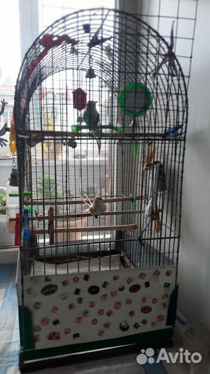 Клетка для птиц