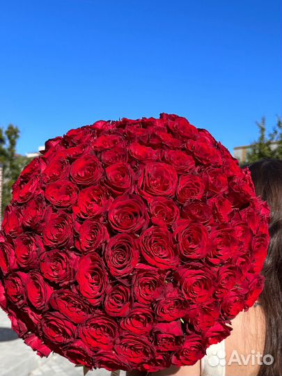 Роза 101шт 50см,доставка цветов Калининград