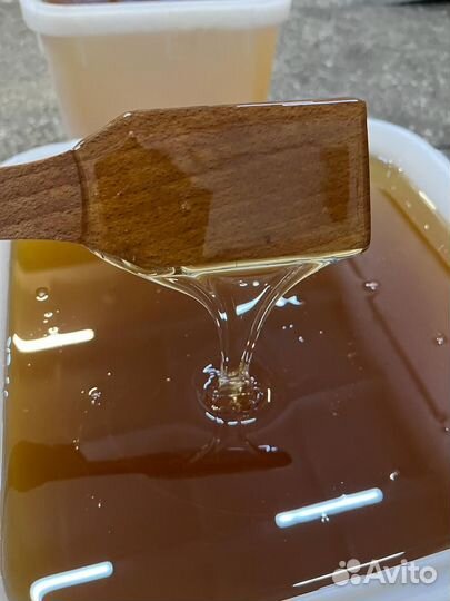 Мед майский оптом