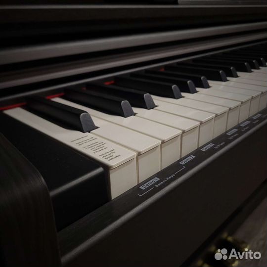 Orla CDP-1 rosewood Цифровое пианино (новое)