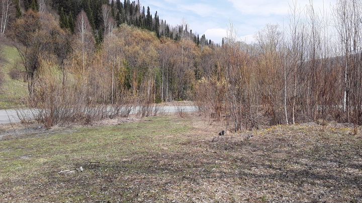 Участок 6,8 сот. (ИЖС)