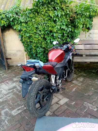 Мотоцикл Pegas zf 250