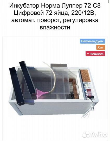 Инкубатор для яиц