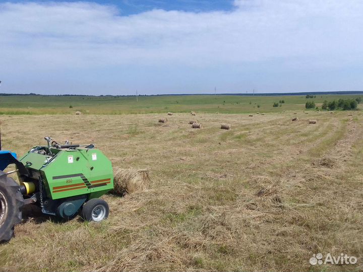 Продам сено в рулонах