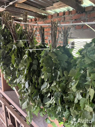 Веники для бани