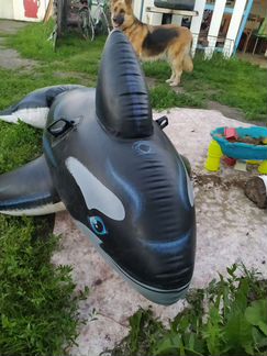 Надувной пегас