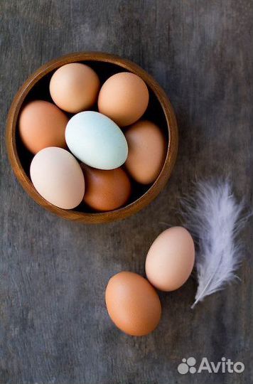 Яйцо куриное