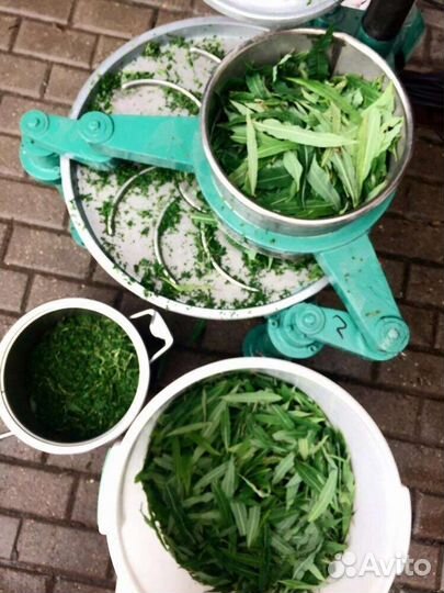 Иван чай ферментированный