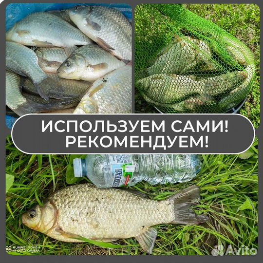 Прикормка для летней рыбалки. Карась. Анис. 3 кг