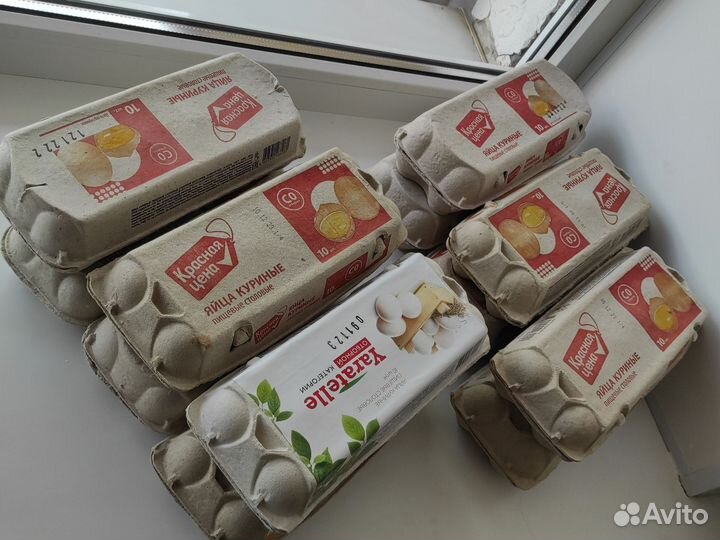 Лотки от яиц