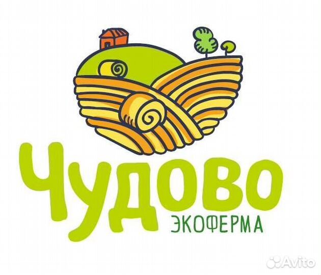 Водитель-экспедитор С